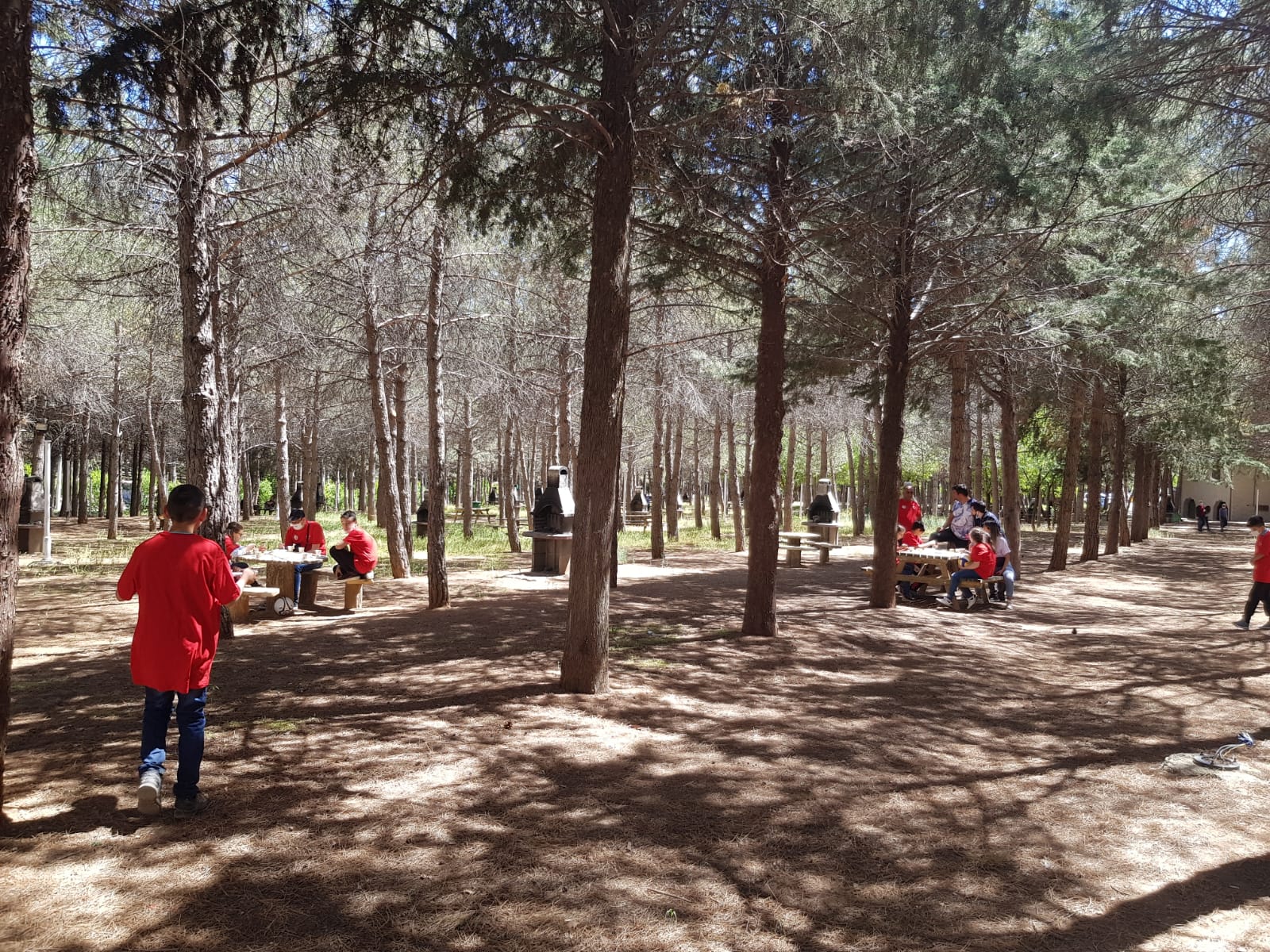 19 Mayıs Atatürk'ü Anma, Gençlik ve Spor Bayramı galeri fotoğrafı